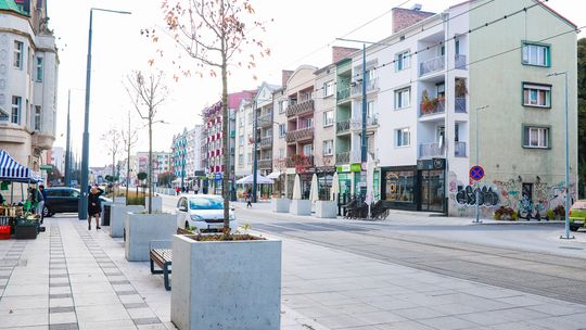 30 drzew z centrum miasta zostanie posadzonych przy Kostrzyńskiej