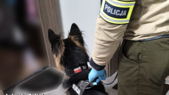 34-latek wpadł w ręce kryminalnych. Teraz grozi mu nawet 10 lat więzienia