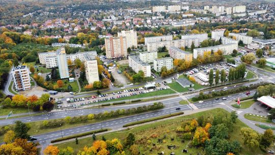 Alarmujący wzrost oszustw w Gorzowie