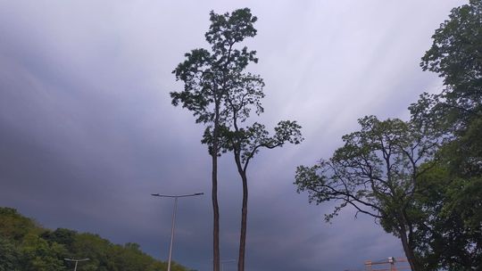 ALERT RCB! Będą burze i silny wiatr