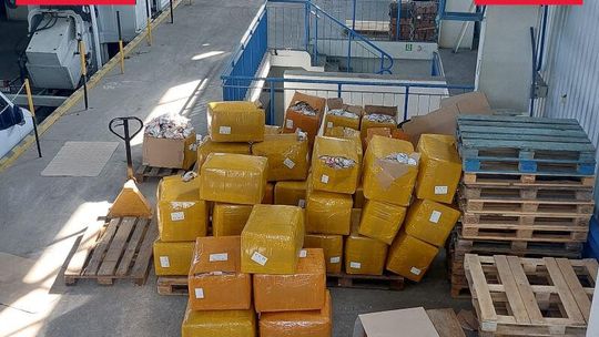 Blisko 10 tysięcy podrobionych zabawek przechwyconych na granicy