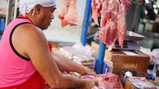 Cudzoziemcy w Polsce na legalu. Tu pracują i tu płacą podatki