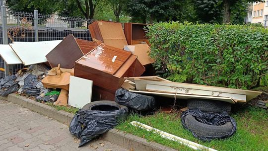 Czystość w Gorzowie. Jaki jest największy problem?