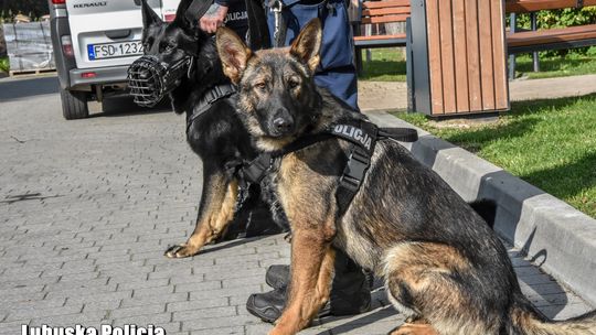 Do strzeleckiej policji dołączył Cerber!