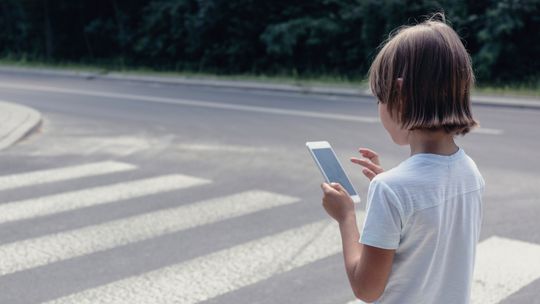 Domaga się całkowitego zakazu używania przez pieszych telefonów na pasach