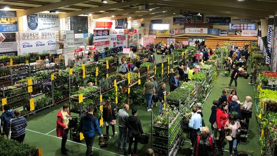 Festiwal Roślin w Gorzowie Wielkopolskim