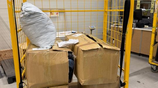 Funkcjonariusze sprawdzili przesyłki kurierskie. W środku znaleźli setki rzeczy