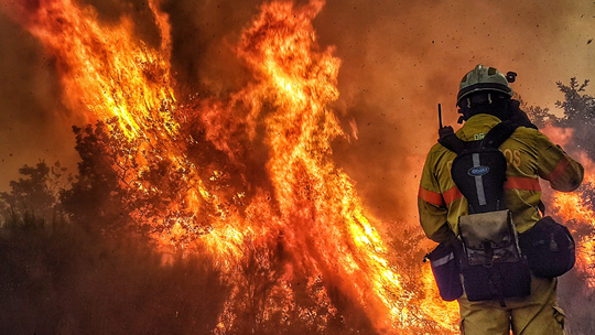 Gigantyczna kara za wypalanie traw. Mocno uderzy po kieszeni