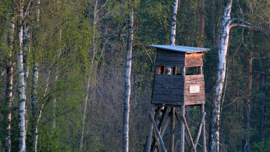 Gmina Santok informuje o planowanych działaniach w lasach. Podano terminy Gmina Santok informuje o planowanych działaniach w lasach. Podano terminy