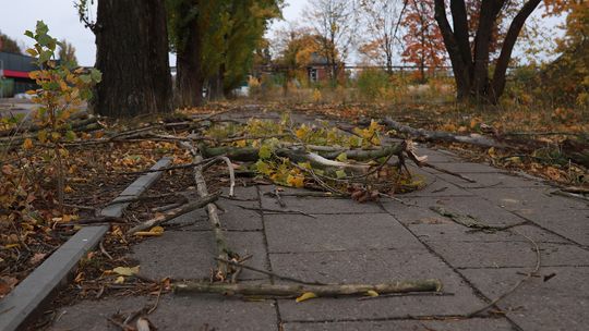 Gorzów. Alert IMGW