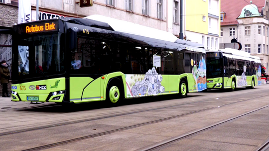 Gorzów bardziej przyjazny dla osób niewidomych: Elekrtobusy z miejscem dla psów przewodników