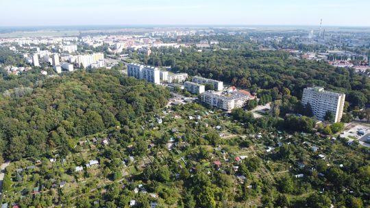 Gorzów doczeka się kolejnej zielonej inwazji