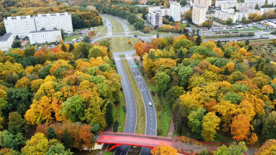 Gorzów. Niebezpieczny incydent w gorzowskim parku