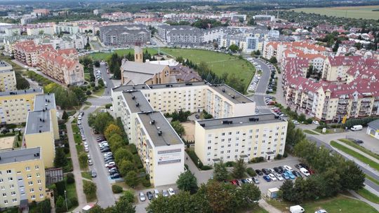 Gorzów. Obowiązek deratyzacji w mieście i pomoc kotom