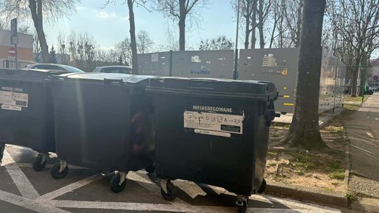 Gorzów: ostrzeżenia już wiszą. Ten problem przy altanach wraca