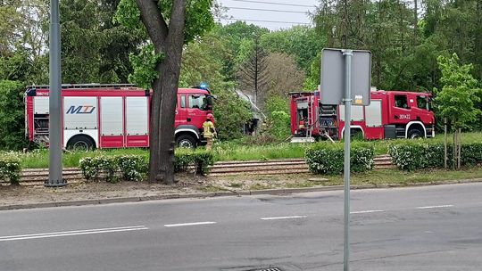 Gorzów. Pożar na działkach ogrodowych