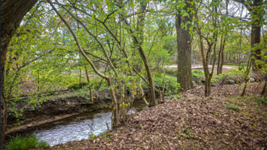 Gorzów szykuje się do realizacji kolejnego miejskiego projektu
