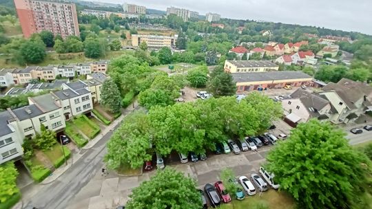 Gorzów. Usuwanie obumarłych drzew i krzewów