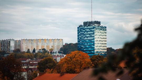 Gorzów uznany za najbezpieczniejsze miasto w Polsce dla pieszych