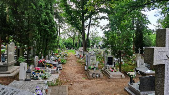 Gorzowski cmentarz na celowniku złodziei. Kradzieże kwiatów i zniczy nie ustają!