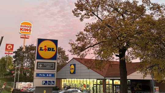 Groźna bakteria w żywności. Ruszyło wycofywanie partii ze sklepów