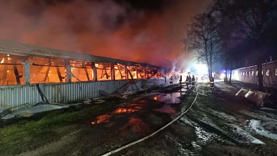 Groźny pożar w Gliniku! Ogień objął cały kurnik, trwa akcja strażaków