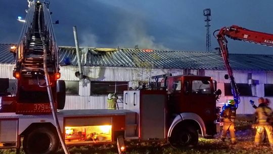 Groźny pożar w Lubuskiem. Na miejsce skierowano dziewięć zastępów straży pożarnej
