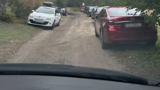 Grzybiarze w okolicach Gorzowa parkują, gdzie popadnie
