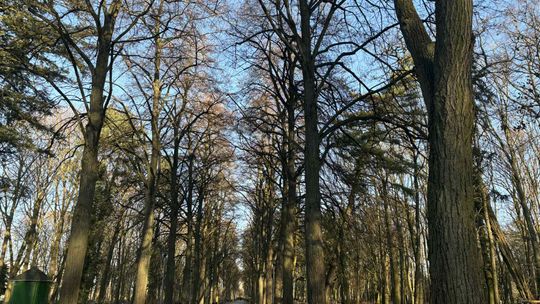 Huk w gorzowskim parku. Zakaz złamany mimo ostrzeżeń