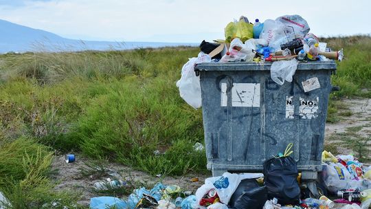 Ile trzeba zapłacić za kontener na gruz Gorzów Wielkopolski?