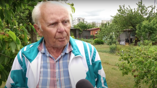 Interwencja w sprawie kotów na ogrodach działkowych