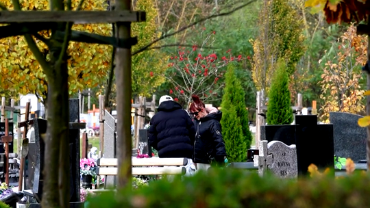 Jak przebiegały przygotowania do Wszystkich Świętych? INEKO podsumowuje