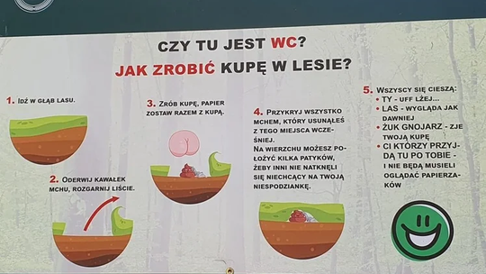 Jak zrobić w lesie kupę? Lasy Państwowe dały instrukcję