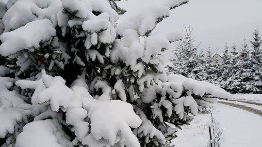 Jaka pogoda czeka nas w najbliższy weekend?