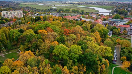 Jesienią Gorzów zacznie się zmieniać. Prace ruszą już wkrótce