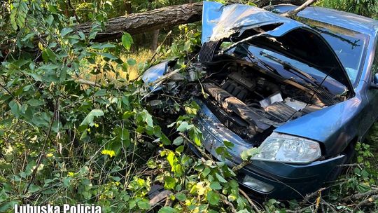 Kierowca z ponad dwoma promilami alkoholu przewoził dzieci