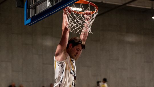 Koncert Kangurów we Wrocławiu!