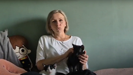 Koty do adopcji – poznaj podopiecznych Fundacji Anaconda
