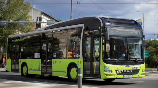 Linia autobusowa nr 201 nad jezioro Nierzym