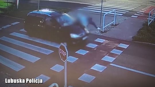 Makabryczne wypadek na pasach. Zobacz wideo