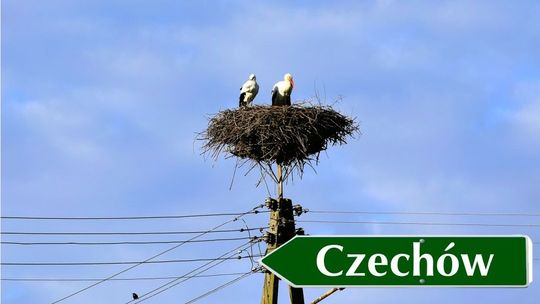 Mamy najlepszy dowód na to, że wiosna przyszła do nas na dobre!