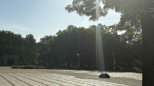 Marsz przeciw imigracji w Gorzowie. Uczestnicy przejdą przez centrum miasta