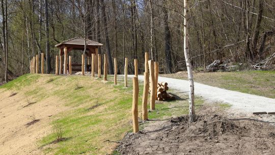 Miasto inwestuje w park. Powstaje przestrzeń do wypoczynku i rekreacji