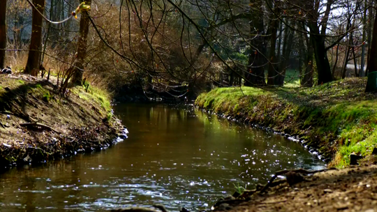 Miasto z perspektywy rzeki