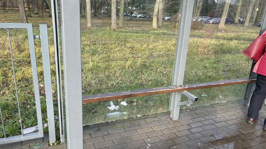 Mieszkańcy Gorzowa zwracają uwagę na problem w przestrzeni publicznej Mieszkańcy Gorzowa zwracają uwagę na problem w przestrzeni publicznej