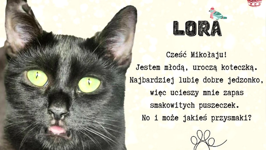 Mikołaje poszukiwani. Fundacja „Anaconda” zbiera paczki dla swoich podopiecznych