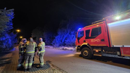Młody mężczyzna zaginął. W ruch poszedł dron i siły ratunkowe