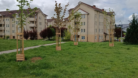 Młodzi ludzie dostaną wsparcie na starcie w dorosłość. Nowe rozwiązanie w Gorzowie