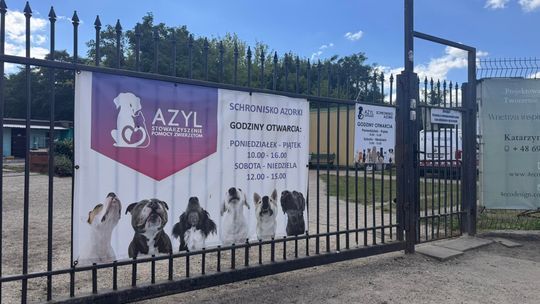 Modernizacja schroniska „Azorki” w Gorzowie. Rusza ważna inwestycja