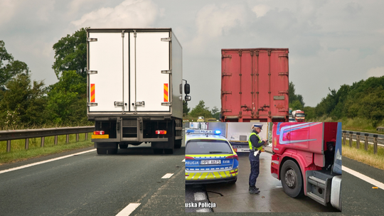 Na drogi wraca wyścig słoni. Ale tylko nocą